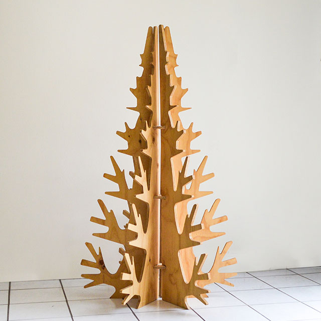 Main Image 1